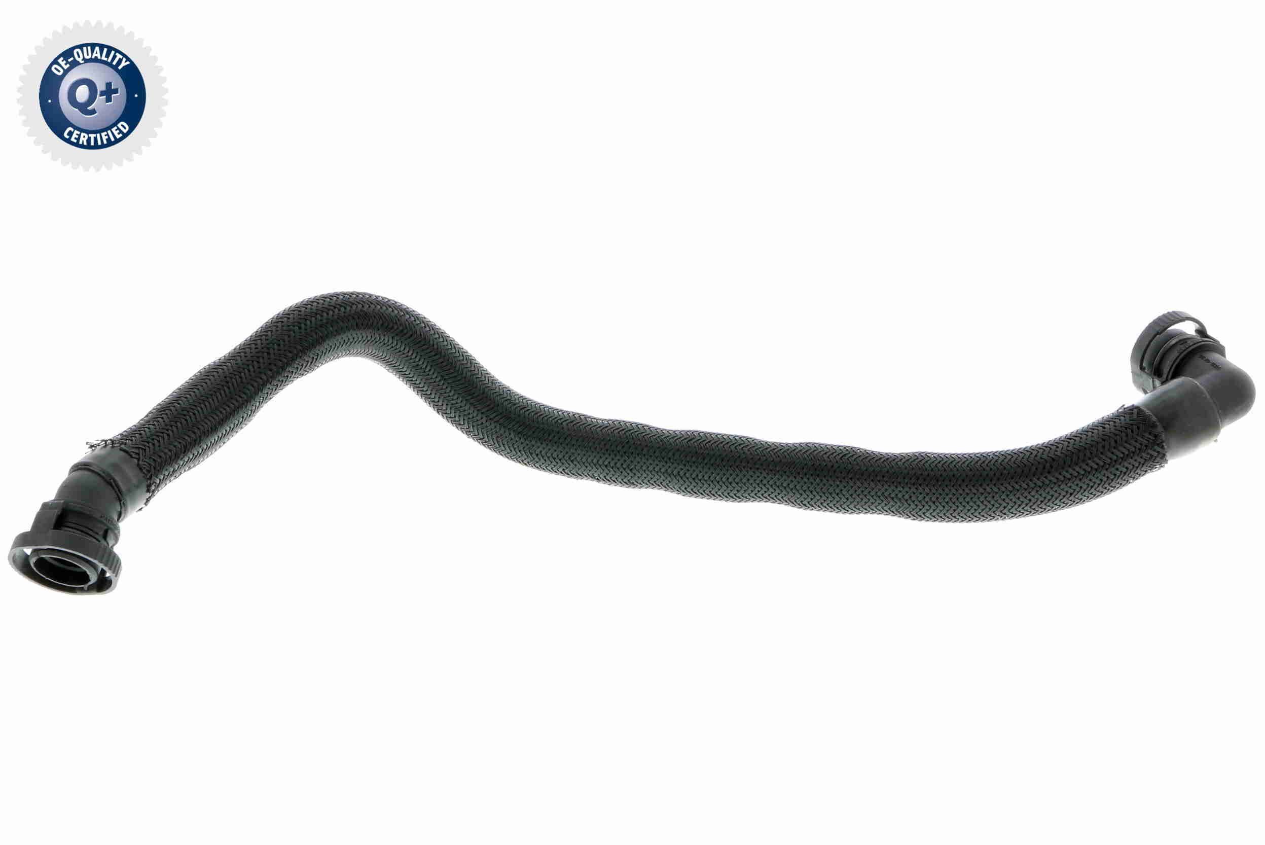 žarna, vožtuvo dangtelio alsuoklis VAICO V20-2943