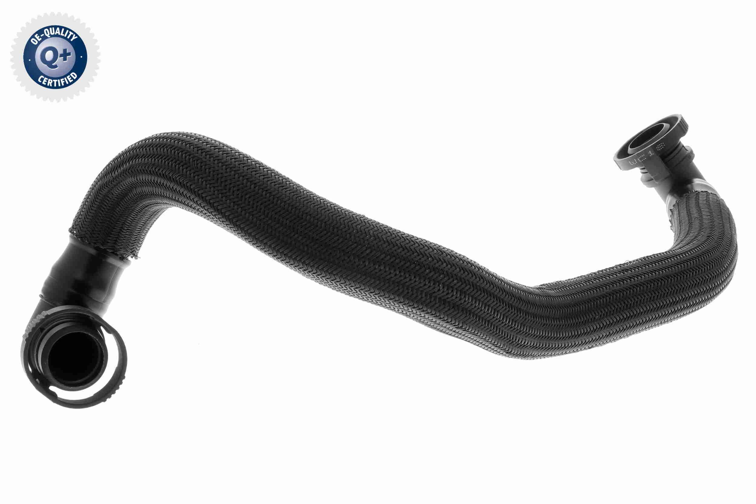 žarna, karterio alsuoklis VAICO V20-3048