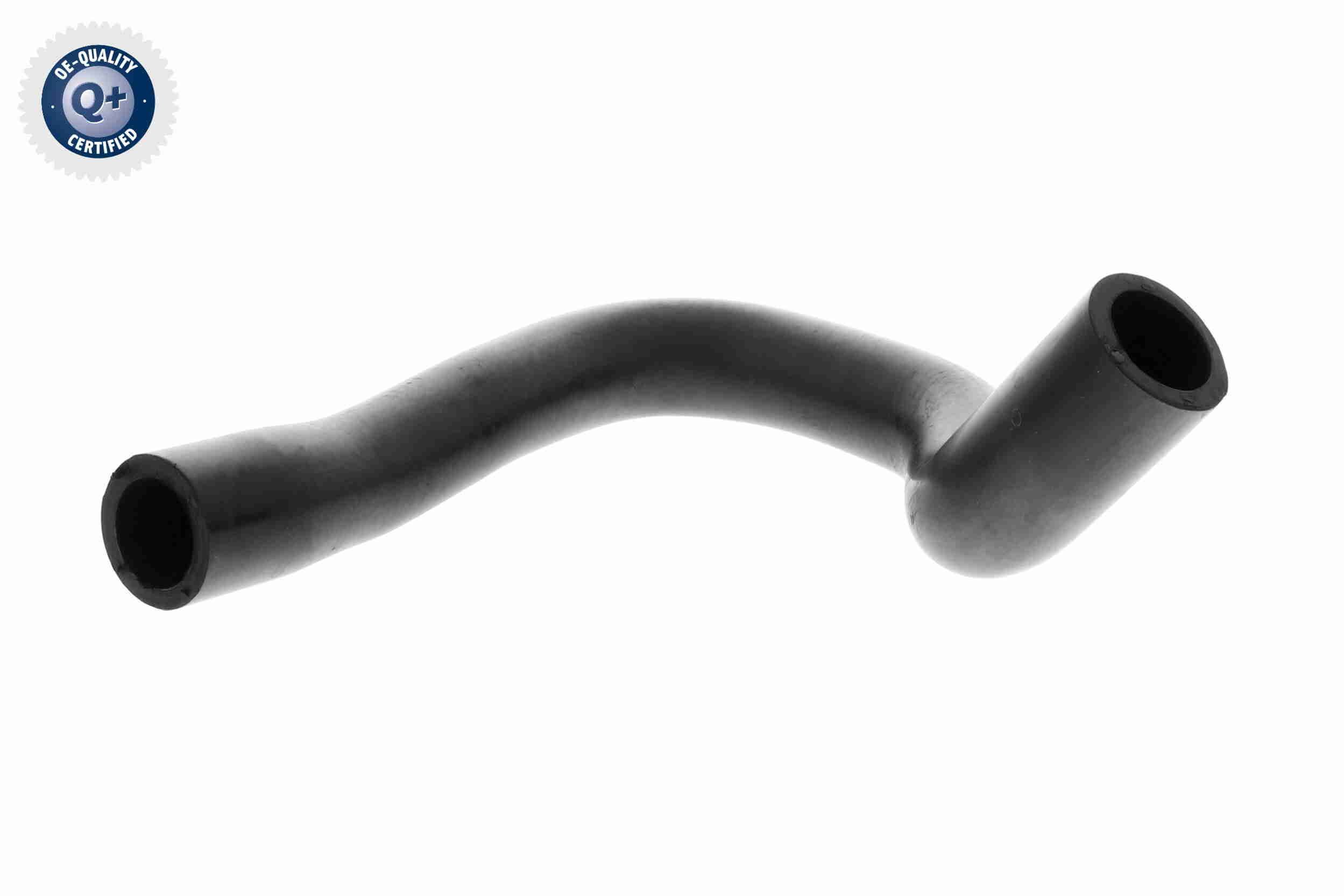 žarna, karterio alsuoklis VAICO V24-1291