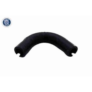 žarna, karterio alsuoklis VAICO V24-1292