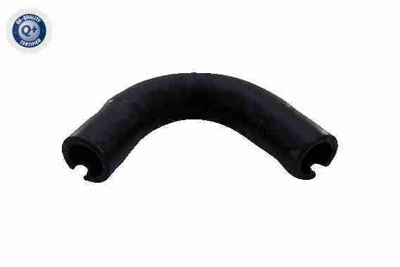 žarna, karterio alsuoklis VAICO V24-1292