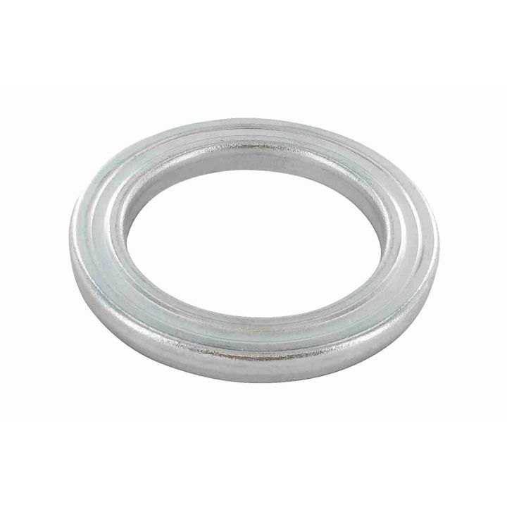 Frikcinis guolis, pakabos statramsčio atramos montavimas VAICO V22-0306