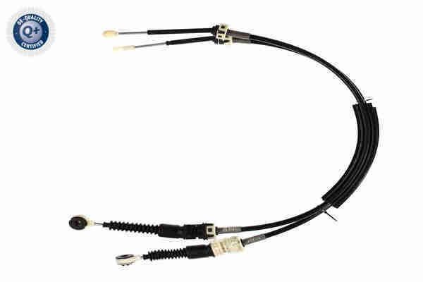Trosas, neautomatinė transmisija VAICO V21-0064