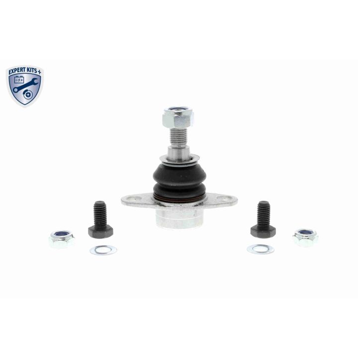 Šarnyras / girgždukas VAICO V20-2753