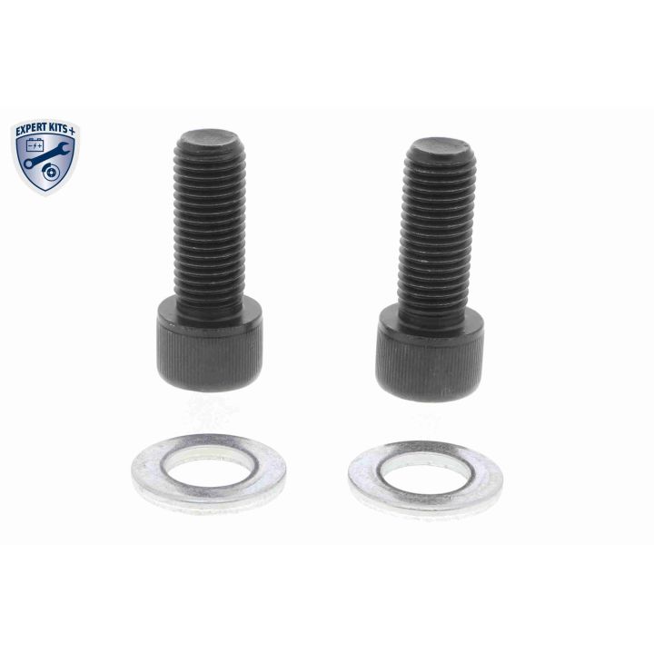 Šarnyras / girgždukas VAICO V20-7175