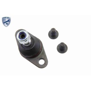 Šarnyras / girgždukas VAICO V20-7177