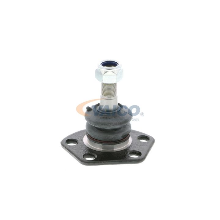 Šarnyras / girgždukas VAICO V22-0101