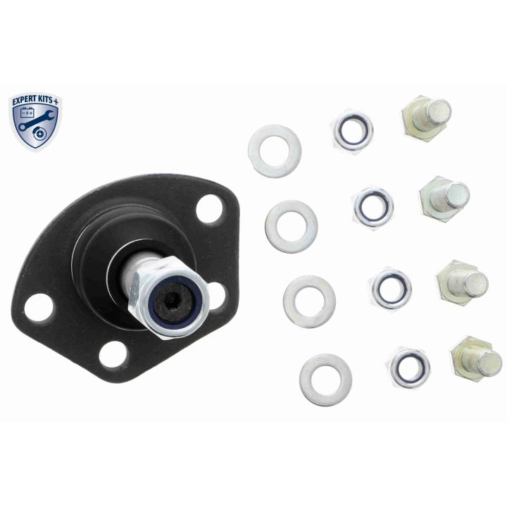 Šarnyras / girgždukas VAICO V22-1077