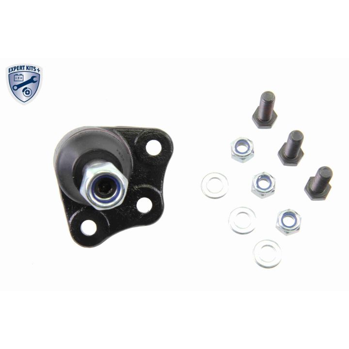 Šarnyras / girgždukas VAICO V24-0225