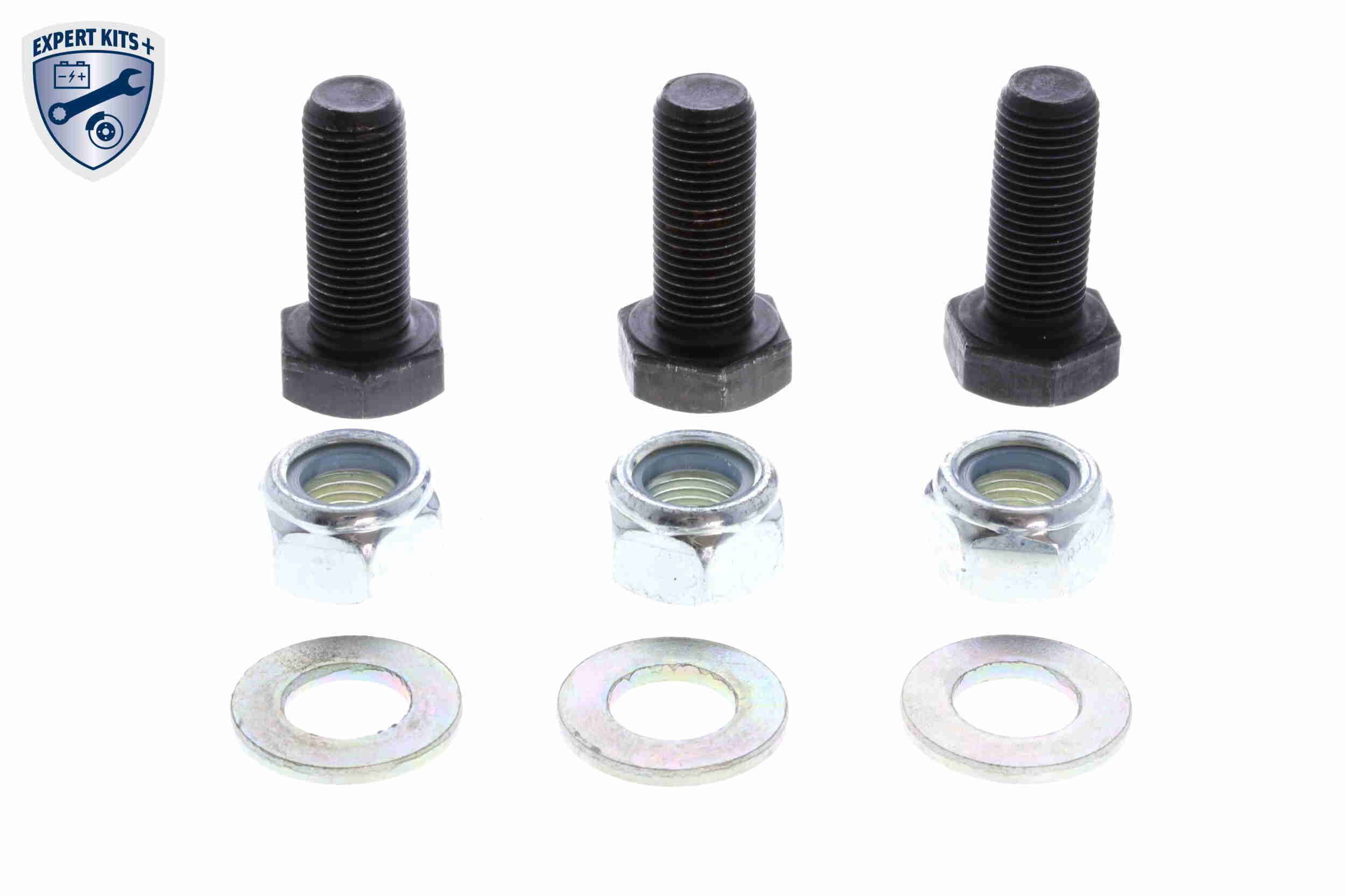 Šarnyras / girgždukas VAICO V24-0225