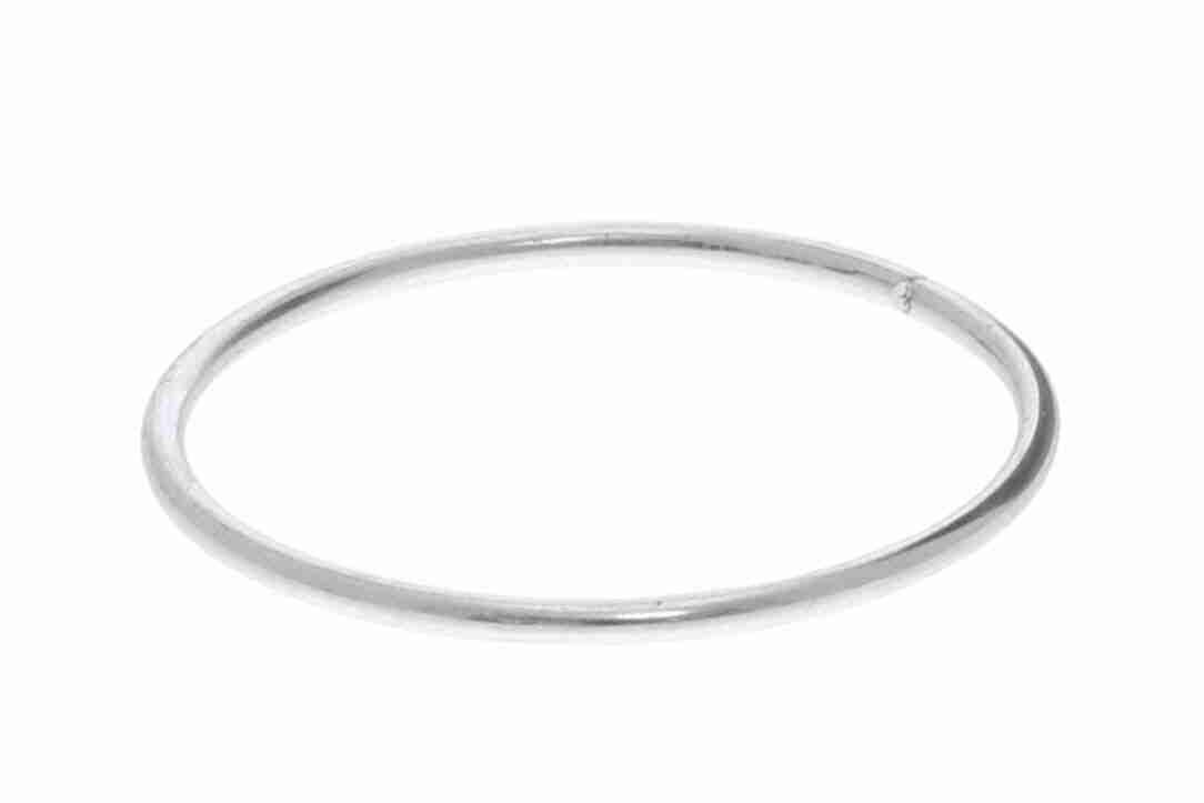 Šarnyras / girgždukas VAICO V24-9540