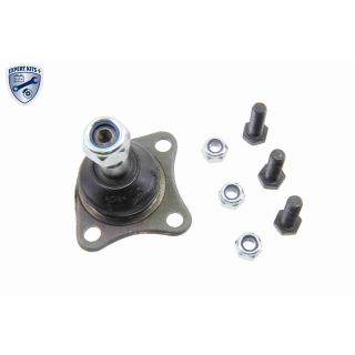 Šarnyras / girgždukas VAICO V24-9593