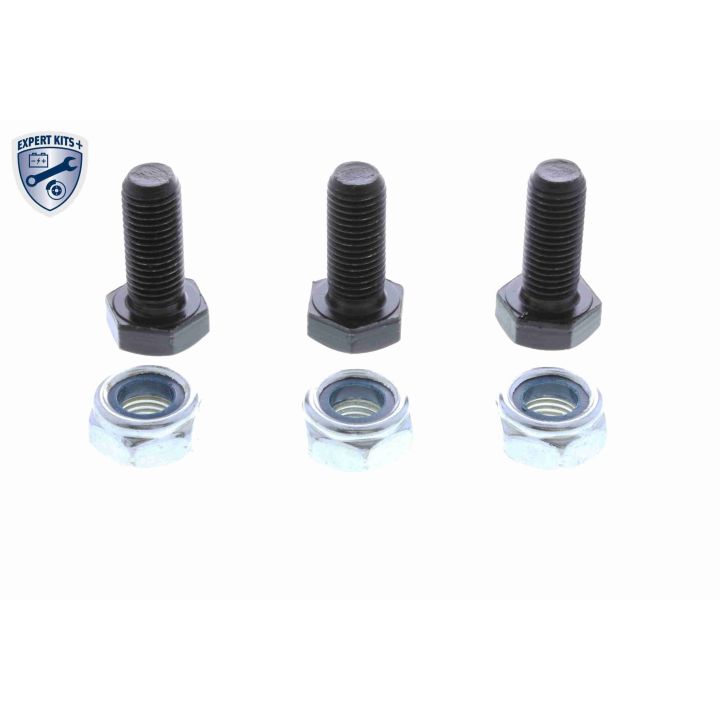 Šarnyras / girgždukas VAICO V24-9593