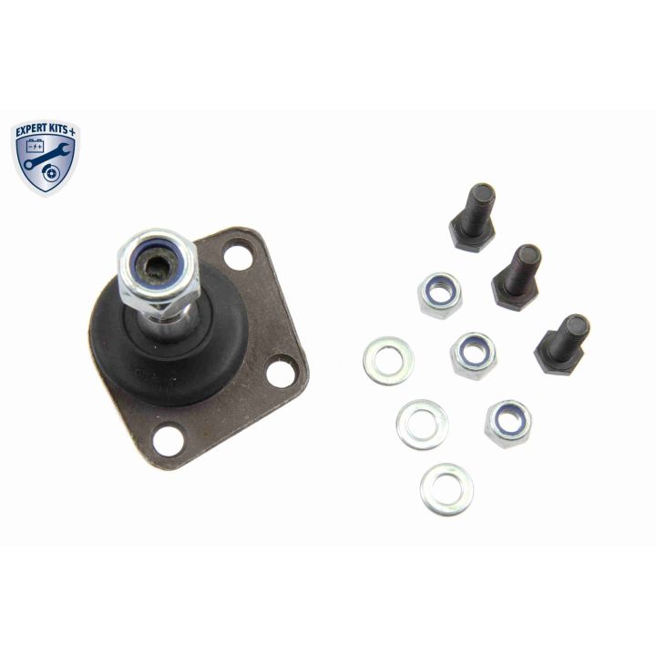 Šarnyras / girgždukas VAICO V24-9605