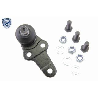 Šarnyras / girgždukas VAICO V25-7018