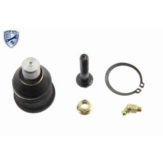 Šarnyras / girgždukas VAICO V32-0019-1