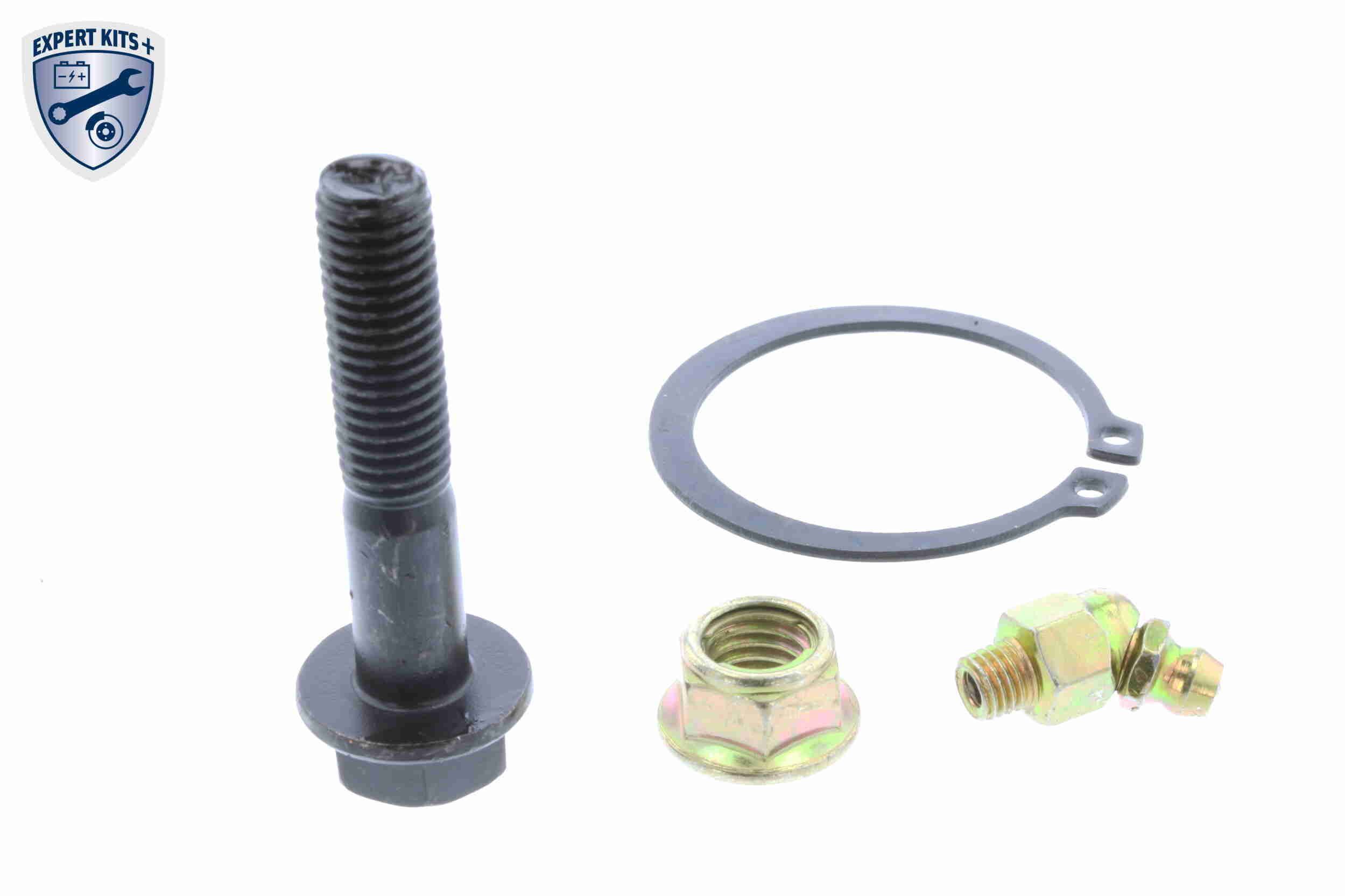 Šarnyras / girgždukas VAICO V32-0019-1