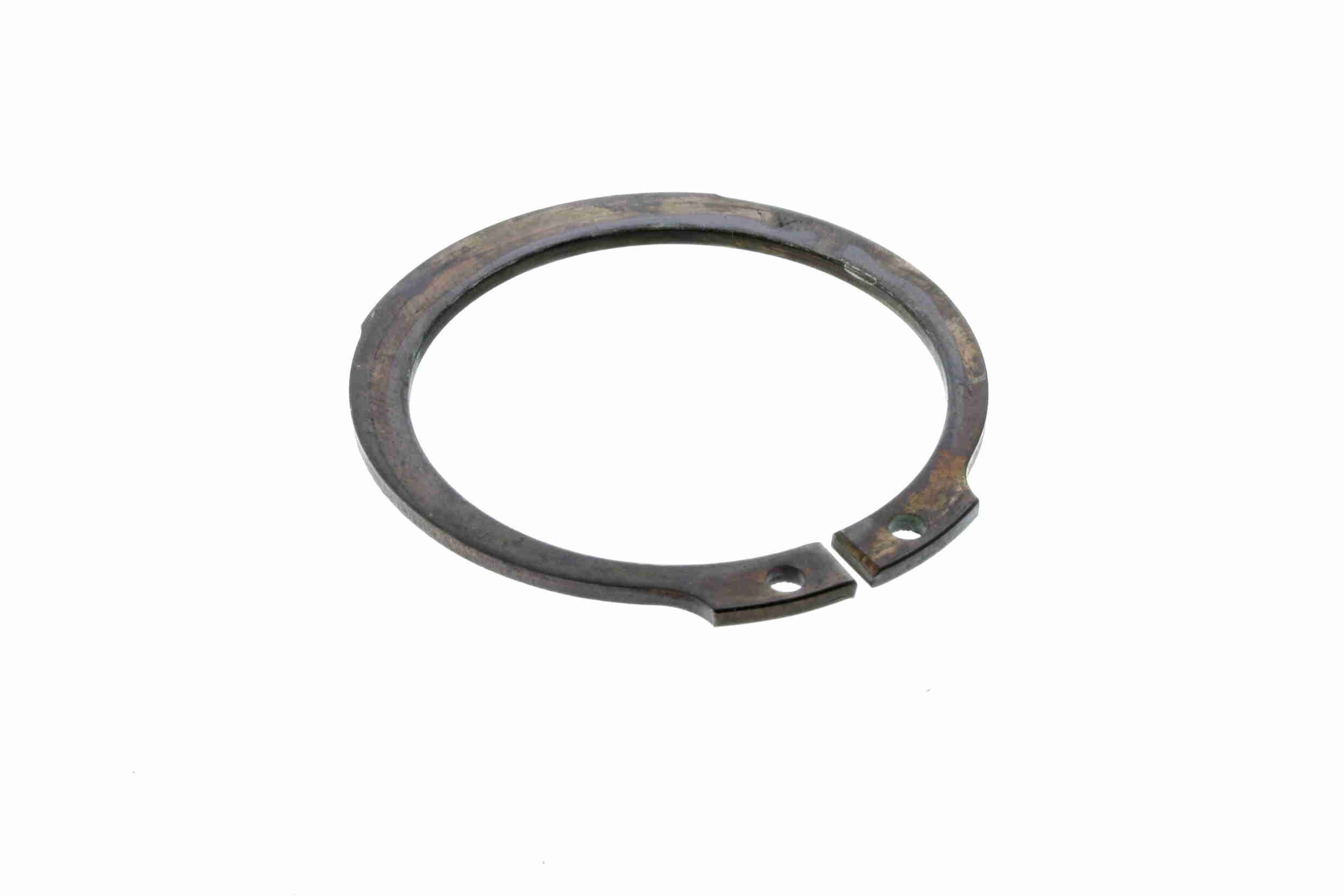 Šarnyras / girgždukas VAICO V38-0141