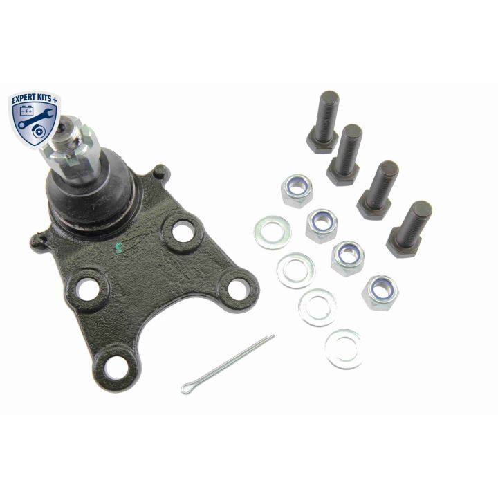 Šarnyras / girgždukas VAICO V40-0231