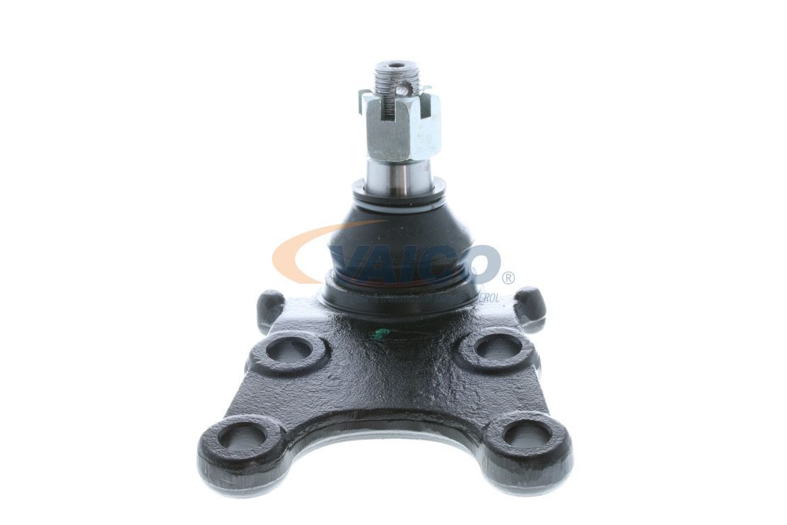 Šarnyras / girgždukas VAICO V40-0231