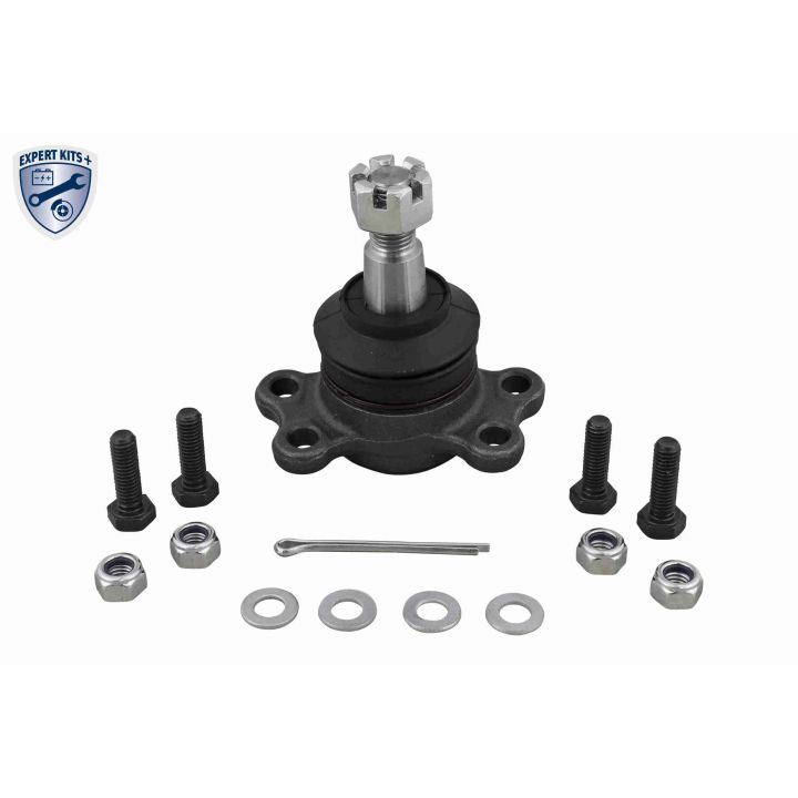 Šarnyras / girgždukas VAICO V40-0509