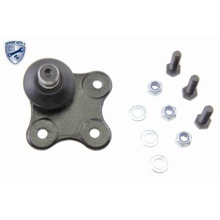 Šarnyras / girgždukas VAICO V40-0569