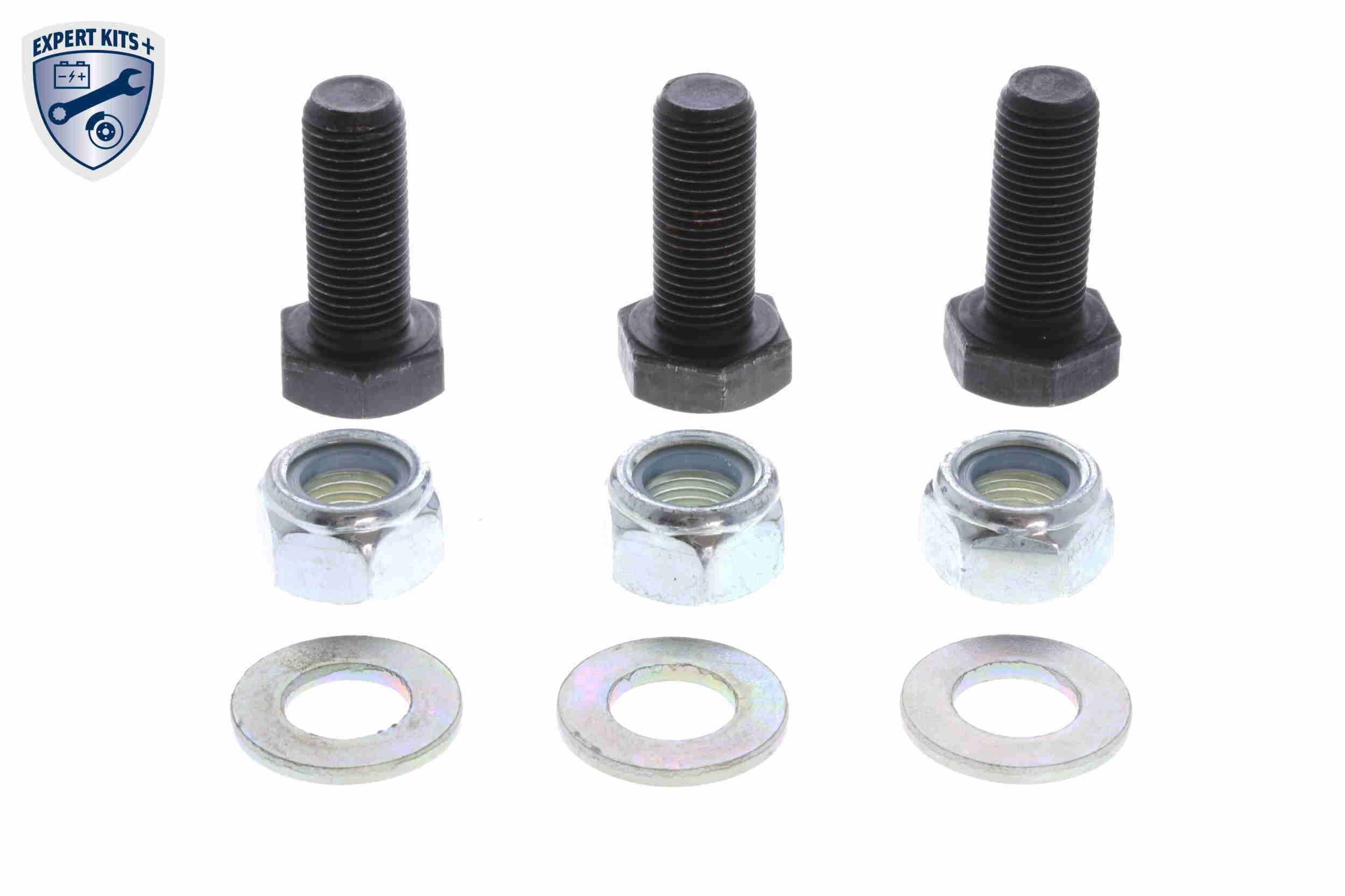 Šarnyras / girgždukas VAICO V40-0569