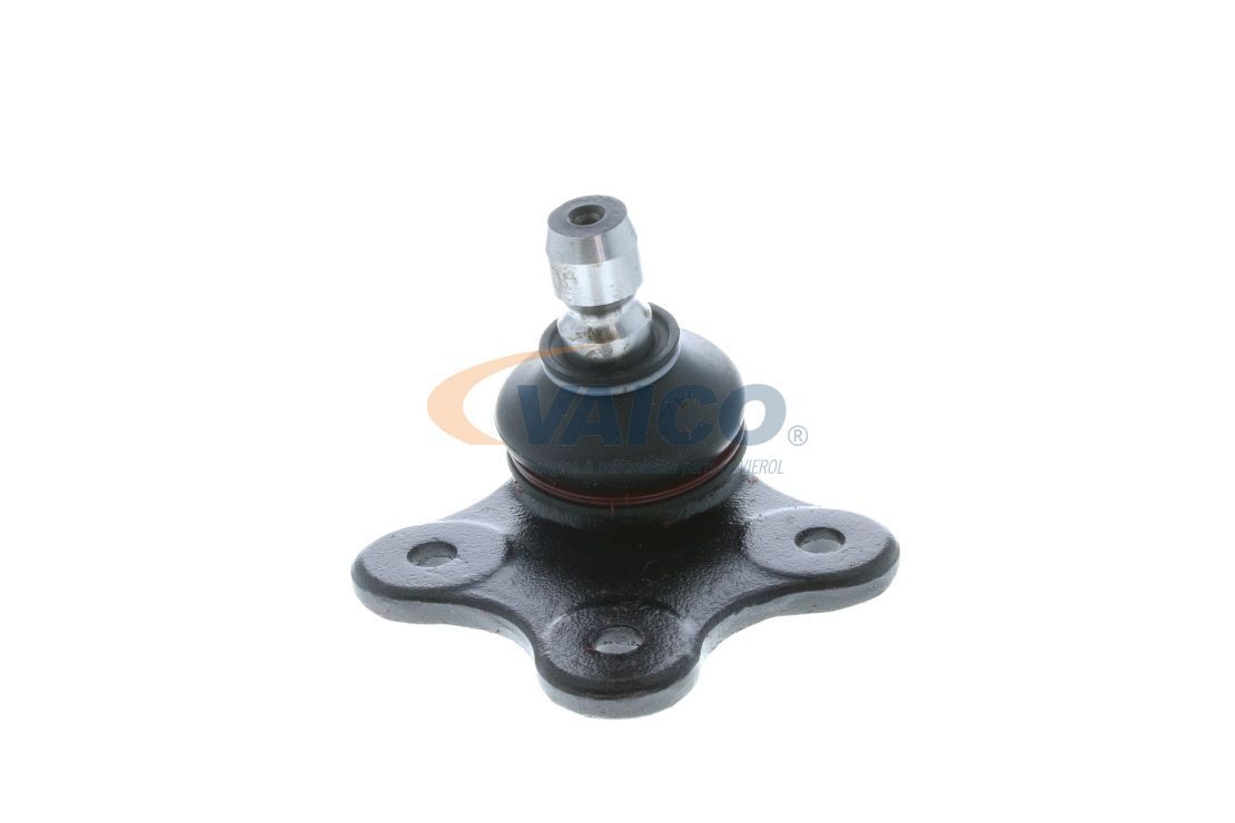 Šarnyras / girgždukas VAICO V40-0569