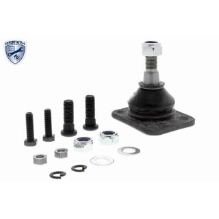 Šarnyras / girgždukas VAICO V46-0117