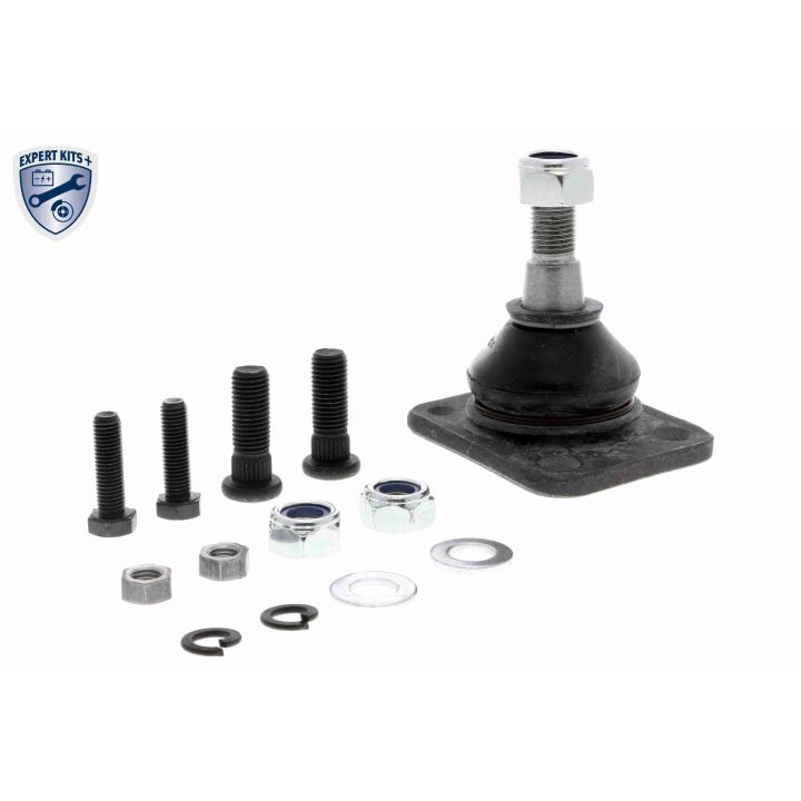 Šarnyras / girgždukas VAICO V46-0117