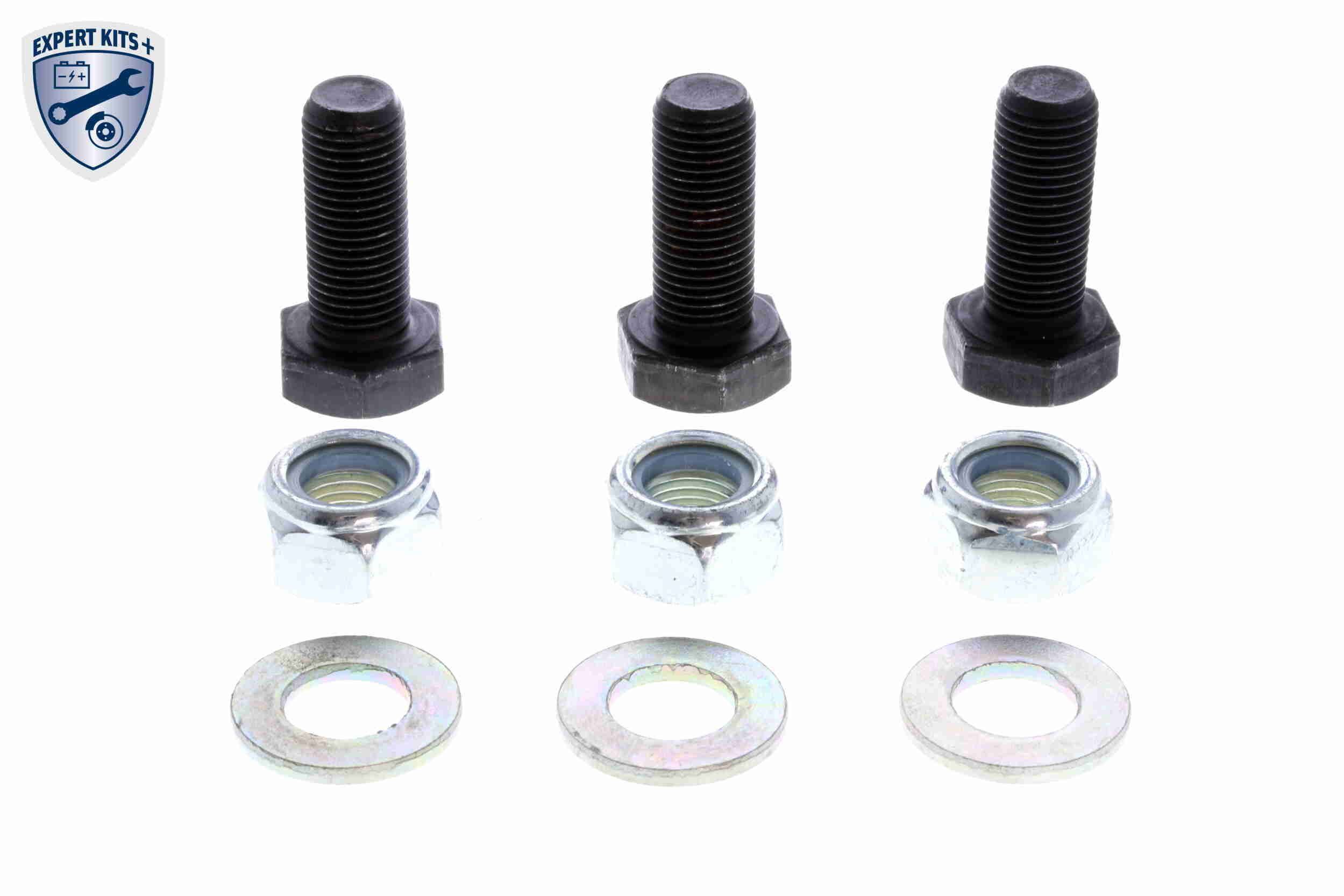 Šarnyras / girgždukas VAICO V46-0463