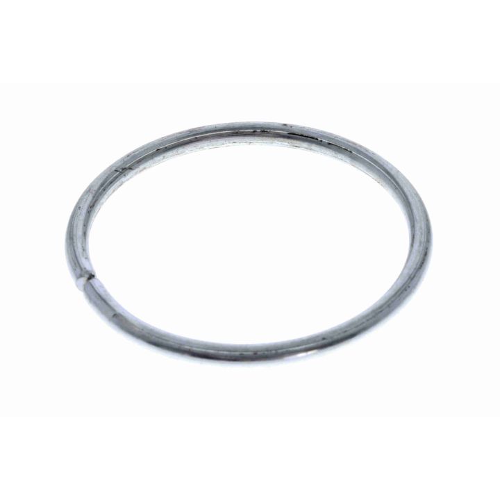 Šarnyras / girgždukas VAICO V46-0552