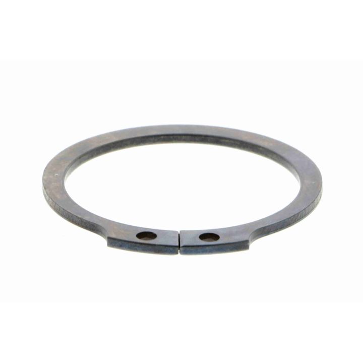 Šarnyras / girgždukas VAICO V46-0840