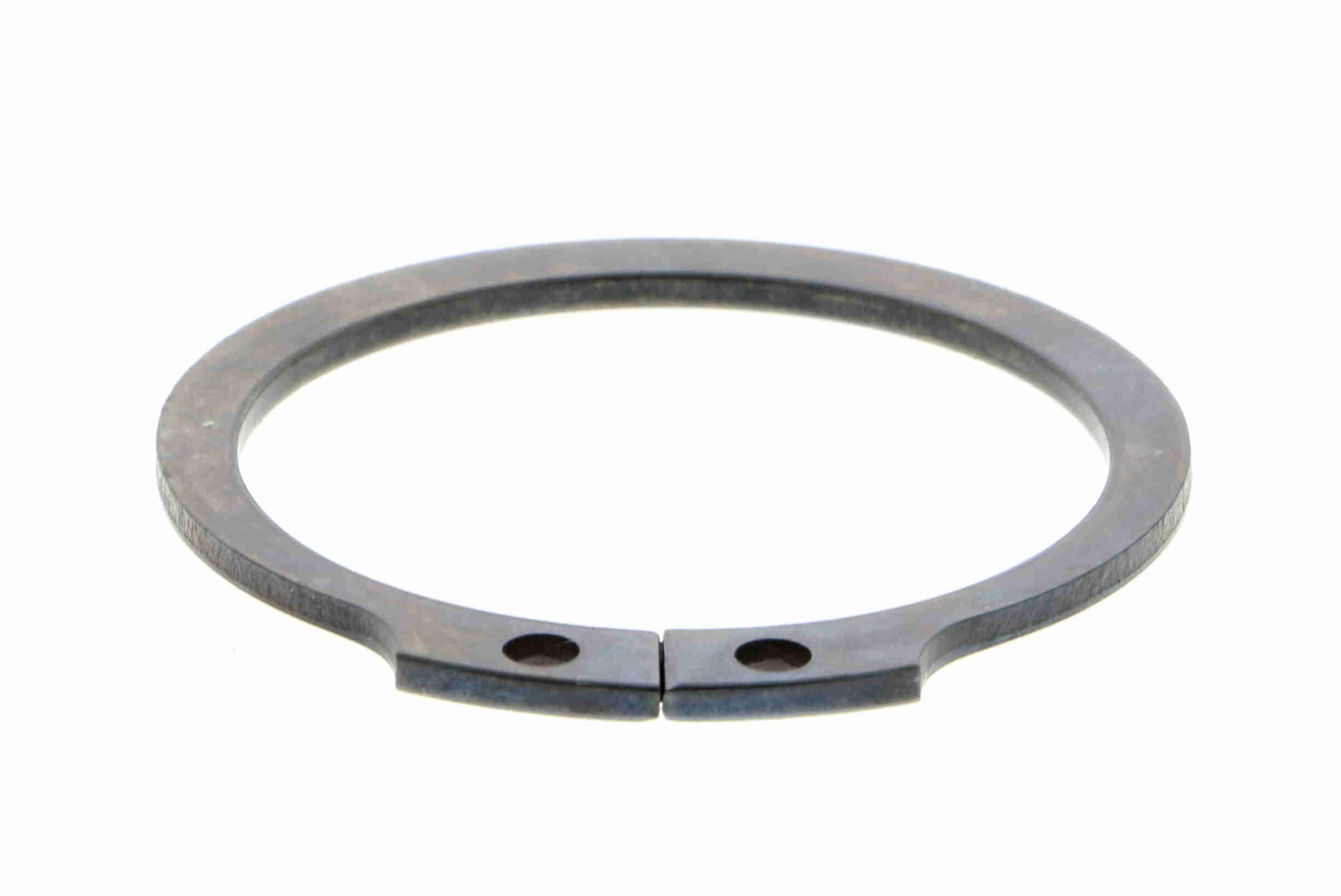 Šarnyras / girgždukas VAICO V46-0840