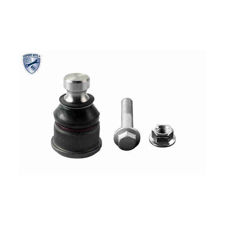 Šarnyras / girgždukas VAICO V46-1249