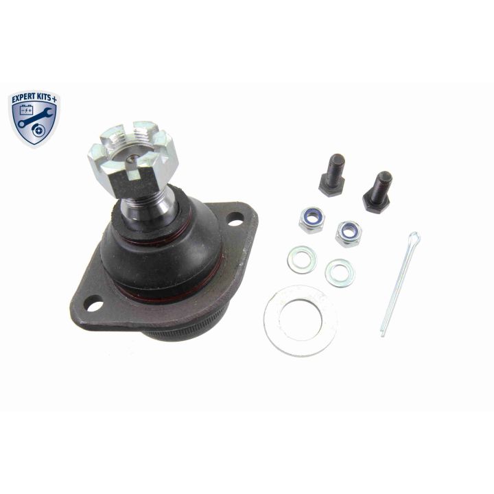 Šarnyras / girgždukas VAICO V48-0021