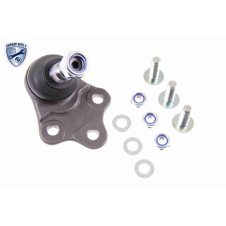 Šarnyras / girgždukas VAICO V48-0206