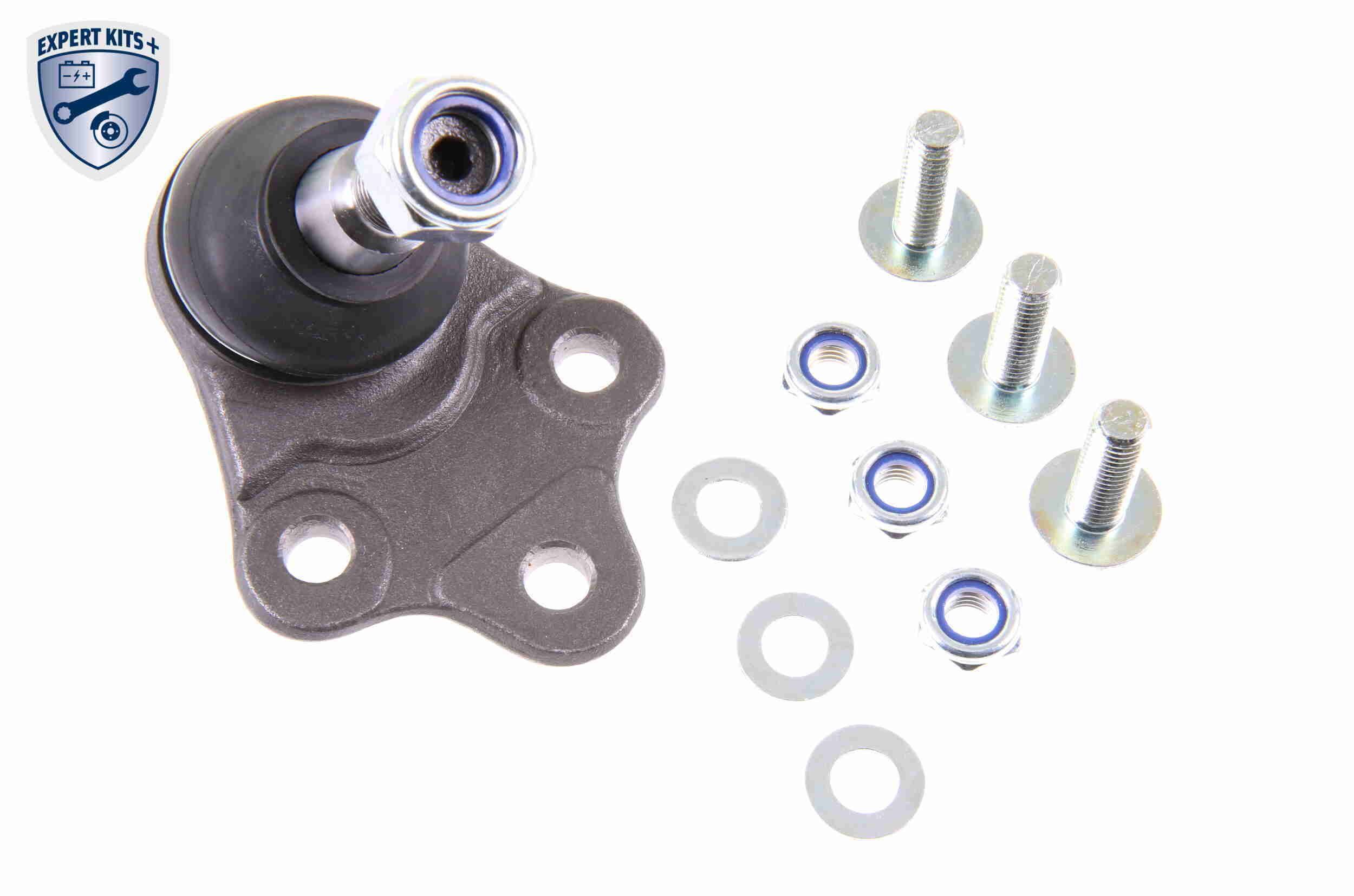 Šarnyras / girgždukas VAICO V48-0206