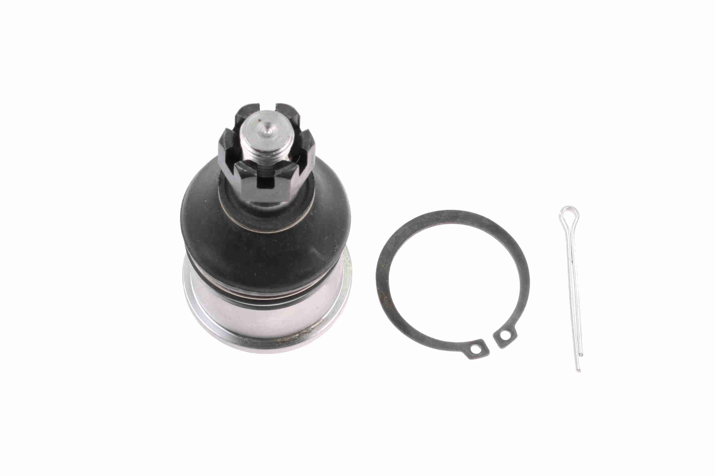 Šarnyras / girgždukas VAICO V49-9501-1