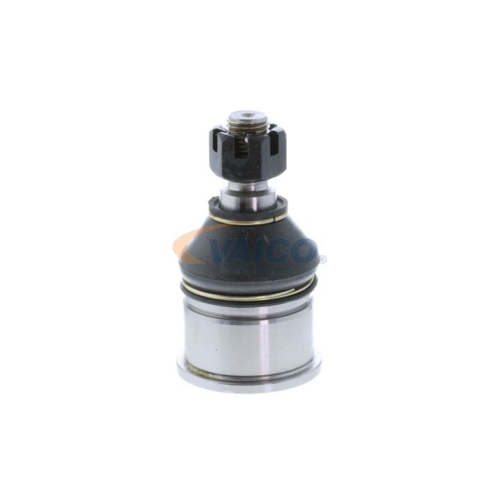 Šarnyras / girgždukas VAICO V49-9501-1