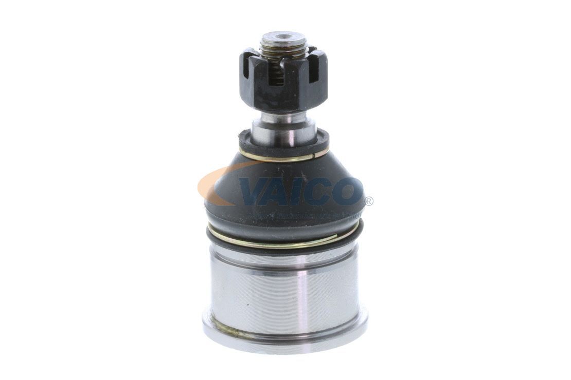 Šarnyras / girgždukas VAICO V49-9501-1