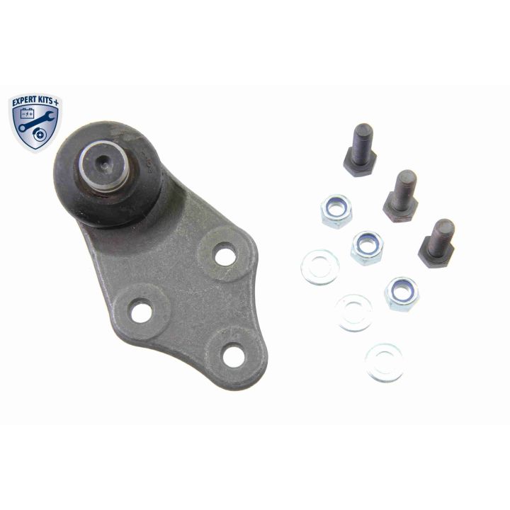 Šarnyras / girgždukas VAICO V49-9526