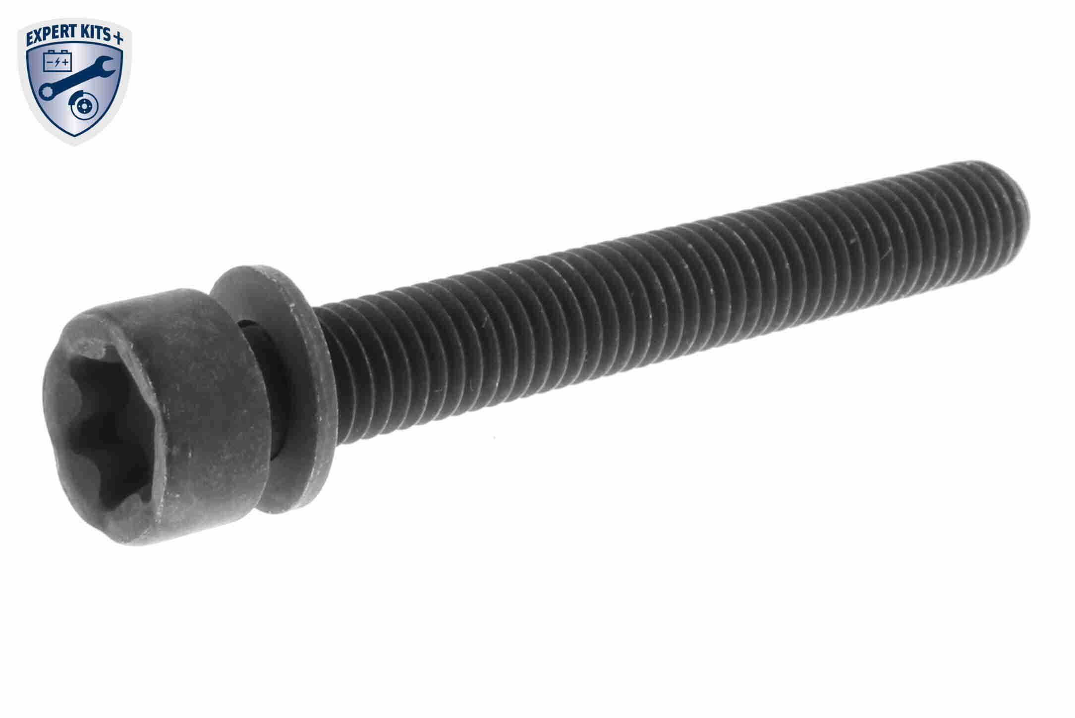 Vandens siurblio ir paskirstymo diržo komplektas VAICO V40-50063-BEK