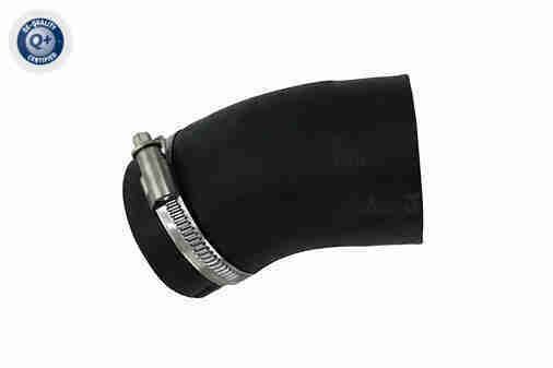 Kompresoriaus padavimo žarna VAICO V20-4360