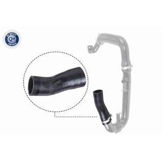 Kompresoriaus padavimo žarna VAICO V24-0697