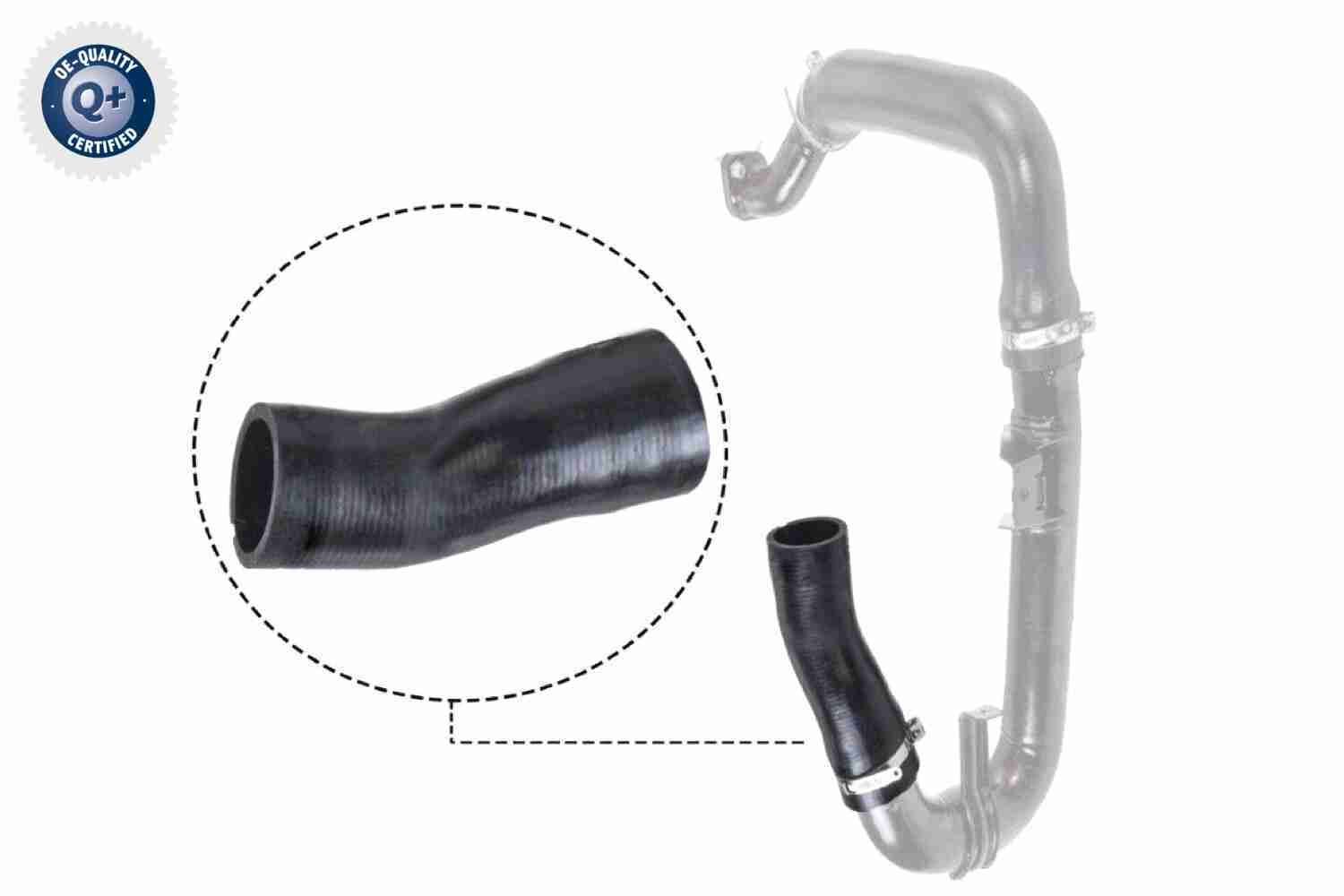 Kompresoriaus padavimo žarna VAICO V24-0697