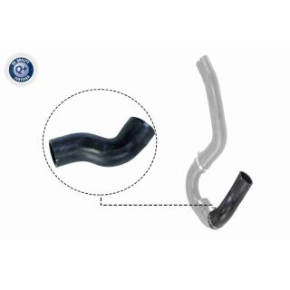 Kompresoriaus padavimo žarna VAICO V24-0711