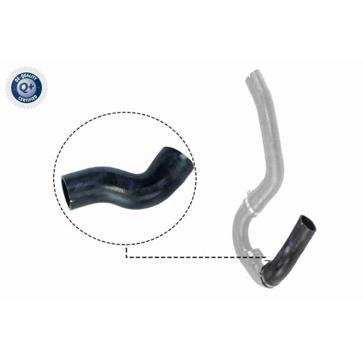 Kompresoriaus padavimo žarna VAICO V24-0711