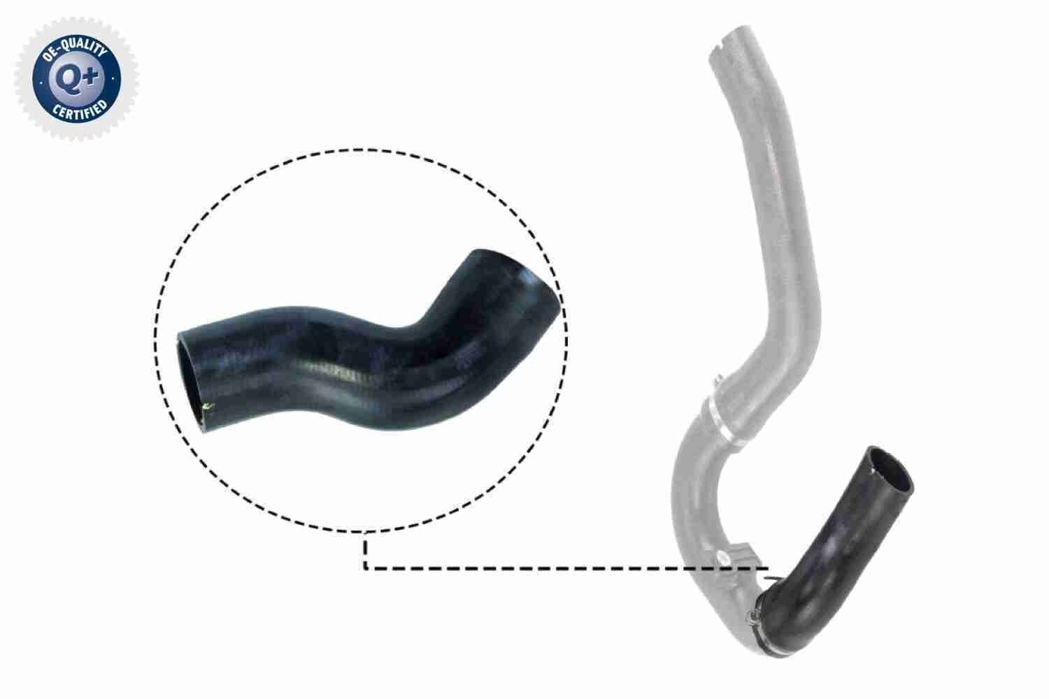 Kompresoriaus padavimo žarna VAICO V24-0711