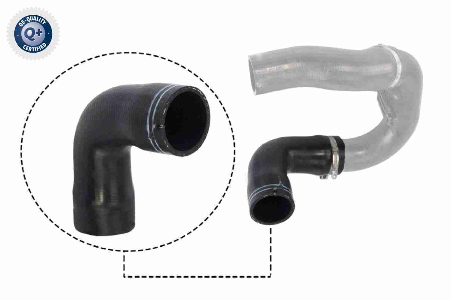 Kompresoriaus padavimo žarna VAICO V24-0716